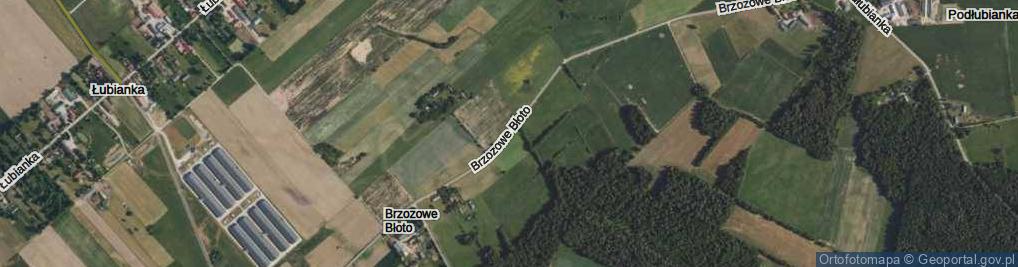 Zdjęcie satelitarne Brzozowe Błoto ul.